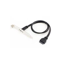Homem do encabeçamento 20-Pin de USB 3.0 ao cabo fêmea do tipo C de USB 3,1